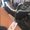 루미너스테일즈 | 테일즈위버 쇼케이스 후기 + 룬의아이들 3부 출간 + 나 울었다고