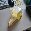 앙큼한 9초