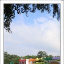 점곡초등학교 이미지