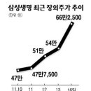 삼성생명 공모가 최소 70만원… 시총 10위권 유력 이미지