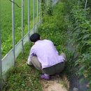 아낌없이주는나무하우스