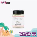 건강한 펫 이미지