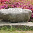 천안대로 이미지