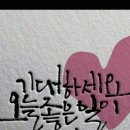 펠리체승마클럽 이미지
