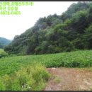 원통초 신덕분교장 이미지