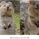 오일파스텔 드로잉 이미지