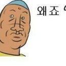 SnS영어