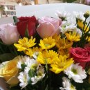 예담산부인과산후조리원 이미지