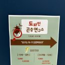 곤충연구소 실내 | 여주곤충박물관X도파민 곤충연구소 체험 후기! 아이랑 가볼만한 곤충전시 + 숲속탐험관 완전 추천