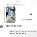 chill chill 맞은 ..대구 여행 (패트릭커피하우스, 이지지커피, 진달래, 오이, 보흔바)