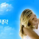 진양제약(주) - 공무,영선,설비관리 채용 이미지