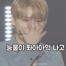 신촌할머니경로당 | 김준수(XIA) 콘서트 FESTA 셋콘, 막콘 후기(251011,12)