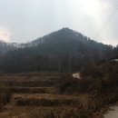 문막공인중개사사무소 이미지