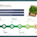 드림큐브시스템 이미지