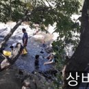 계곡캠핑펜션 이미지