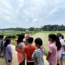 초록이둥지협동조합 이미지