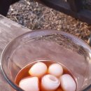 서정온천오토캠핑장 이미지