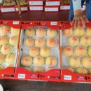 세지농장 이미지