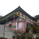 회나무 작은도서관 | [서울 관악구] 관악산 무장애숲길