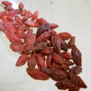 달나라 토끼농장 이미지