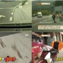 백구오토바이