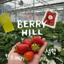 청결농장 | 당진 아이와 가볼만한곳! 베리힐 딸기 농장 체험 후기
