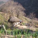 산성골 Daum카페
