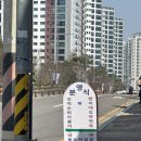[수원] 가성비 좋은 인계동 분식집 영분식 | 내돈내산 후기