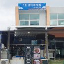 강원도 고성 샘이네횟집 푸짐한 스끼다시 인생최대 찐맛집 발견!