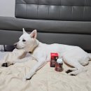 에스솔루션 이미지