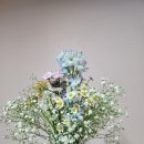 에바다꽃집 | [경기/군포] 산본시장 꽃집 "에바다꽃"에서 헤어변형 용 꽃 사기