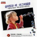 제일필름