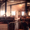 양축농장 이미지