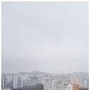 거동공인중개사사무소 이미지