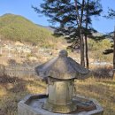 마리장풍숲 이미지