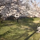 (주)한다 이미지