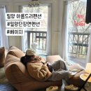 밀양관광펜션 아름드리 | 밀양 아름드리펜션 1박 2일 자연 속 힐링