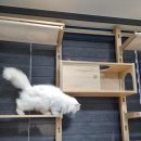 신양스틸 이미지