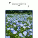 함양밀면 이미지