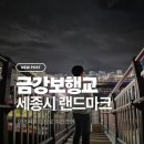 금강보행교 북측 공원 | 세종시 금강보행교 이응다리 주차장, 입장료 야경명소 방문후기