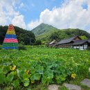 완주 송광사 관광안내소 | [완주가볼만한곳] 여름 풍경이 아름다운 송광사 백련정과 관람 꿀팁