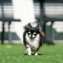 W&W(와앤와) 이미지