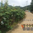 형근농장 이미지