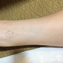 예로체한의원 이미지