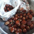 정안농장 이미지