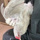 다란동물병원 이미지