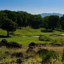 보보스(BOBOS) 이미지