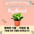 로이드밤헤어 루원시티가정역점