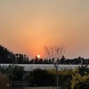 노을펜션 | [제주 숙소]자쿠지가 있는 제주 서쪽 노을 맛집 제주독채펜션 ‘보름못’ 후기