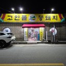 구들짱똥돼지 김치삼겹살 | 송천동 삼겹살 맛집 추천 | 고인돌똥돼지 묵은지와 볶음밥까지 완벽했던 솔직후기
